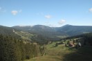 AAAA